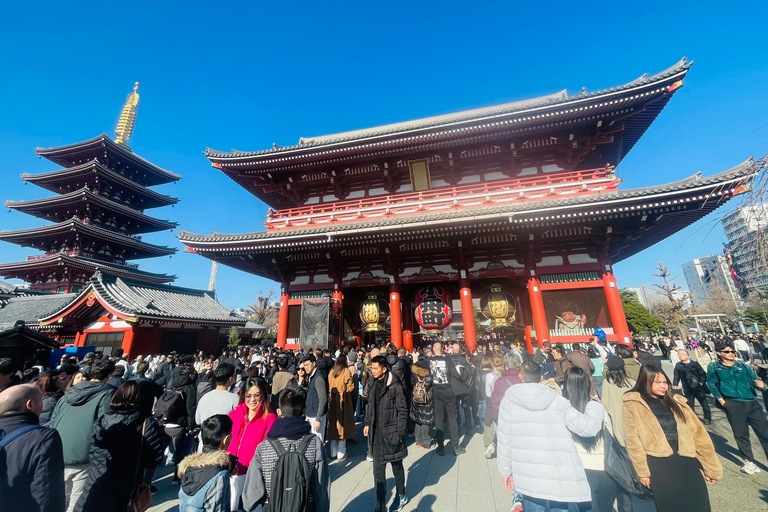 Tokyo Luxury Private City Tour Customizable with Guide