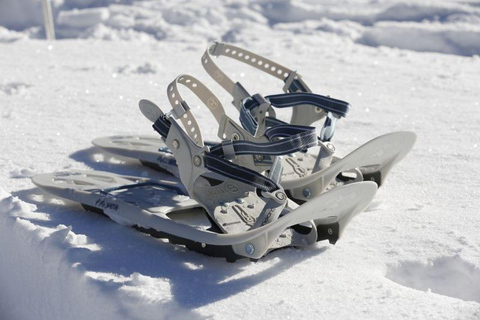 Avalanche training with snowshoe hike in Berchtesgaden LVS training with snowshoe hike in Berchtesgaden