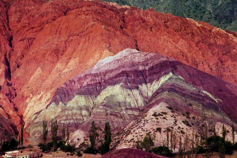 Salta: Safari to the Clouds & Salinas Grandes by 4x4