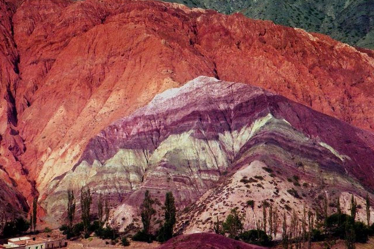 Salta: Safari to the Clouds & Salinas Grandes by 4x4