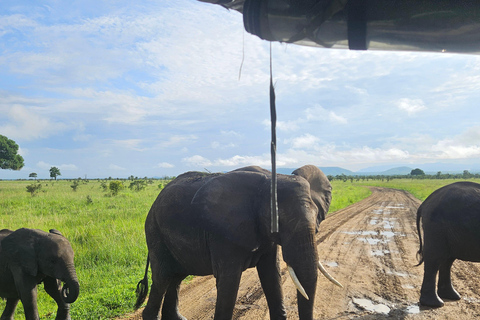 Safari 3-Days from Zanzibar to Mikumi National Park by ferry Come to meeting point "Dar es Salaam SGR station"