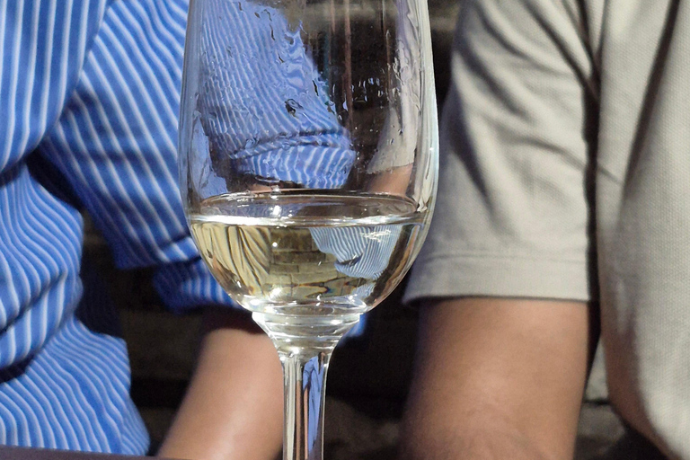 Novi Sad and Sremski Karlovci Wine Tour From Belgrade