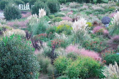 Jeju: Small Group Tour w/Pink Muhly & Tangerine Picking