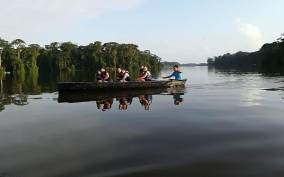 Tortuguero: Canoe Tour and Wildlife Spotting