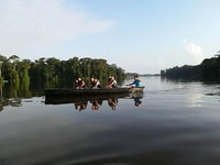 Tortuguero, Tour en canoa y manchas de vida silvestre - Housity