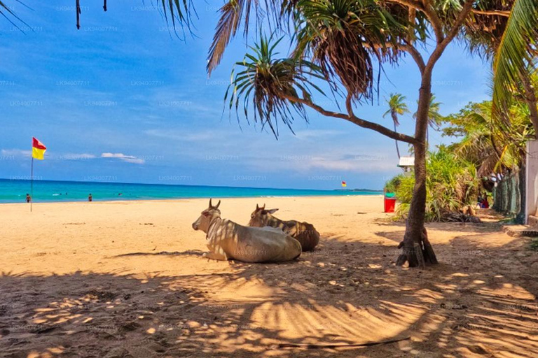 Sri Lanaka : Circuit de 2 jours à Trincomalee avec hébergement