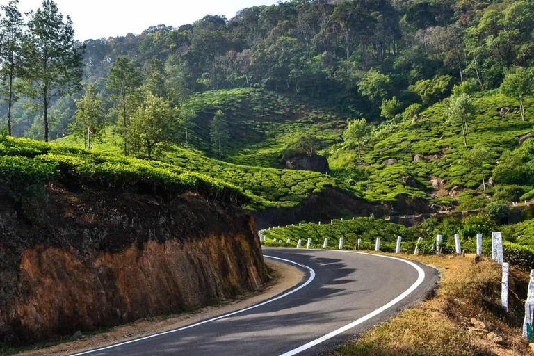 From Kochi: 10-Day Kerala Tour with Munnar, Thekkady Only Car With Driver