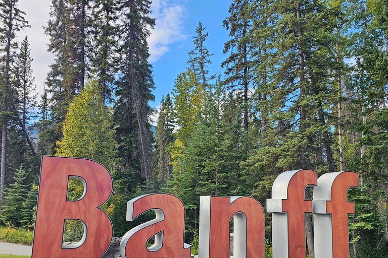 Banff/Canmore to Calgary or YYC Airport Private Transfer Ride in Luxury Car