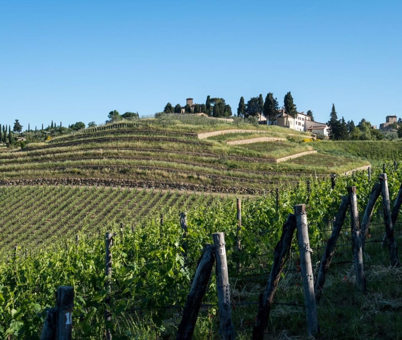 Greve in Chianti: Weintour & Weinprobe auf der Tenuta Casenuove