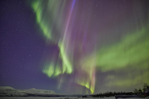 Kiruna: Abisko Northern Lights Tour with Dinner