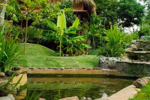 Punta Cana: Higüey Basilica & stadsvandring med besök i lokalt hus