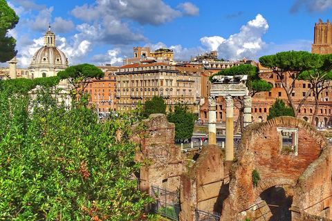 Rome: Colosseum Express Experience with Audio Guide App Skip-the-Line Self-Guided Tour