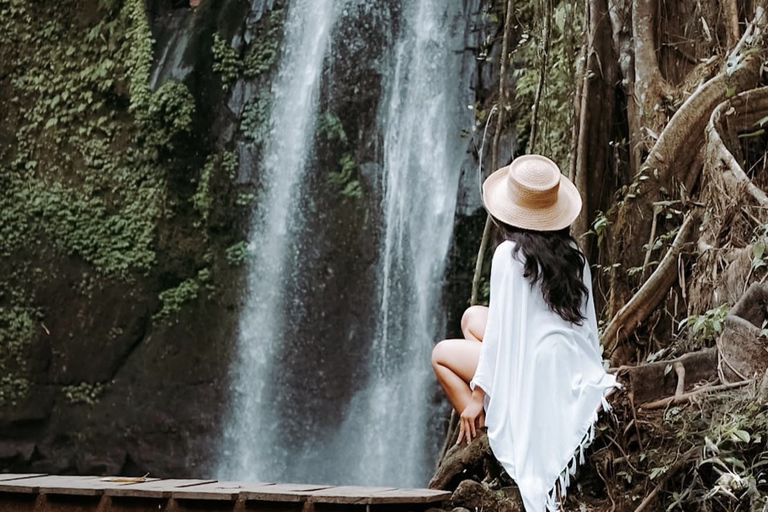 Ubud 3 Hidden Waterfalls & Tegalalang Rice Terrace Tour