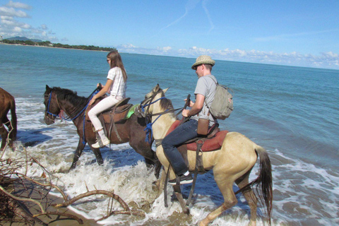 Puerto Plata: Horseback Tour of the Beach and Local Community