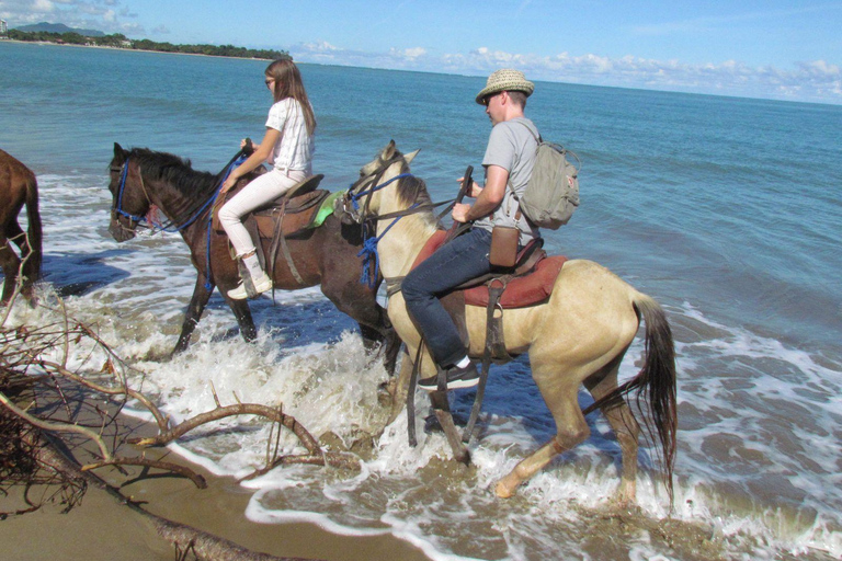Puerto Plata: Horseback Tour of the Beach and Local Community