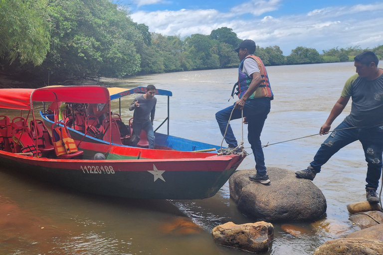 NEIVA: Achira Route: walk along the Magdalena River and achira workshop