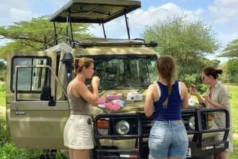 Excursión de un día de Zanzíbar a Mikumi : Safari de fauna salvajeDesde Zanzíbar Excursión de un día a Mikumi : Safari de fauna salvaje