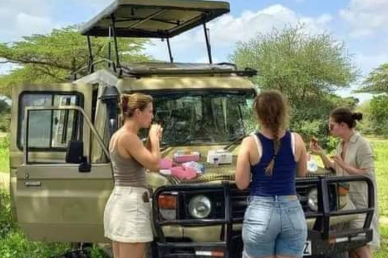 Excursión de un día de Zanzíbar a Mikumi : Safari de fauna salvajeDesde Zanzíbar Excursión de un día a Mikumi : Safari de fauna salvaje