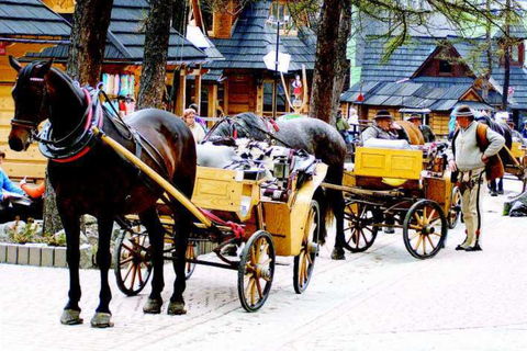 Vanuit Krakau: Zakopane dagvullende tour en thermale badenZakopane en thermale baden