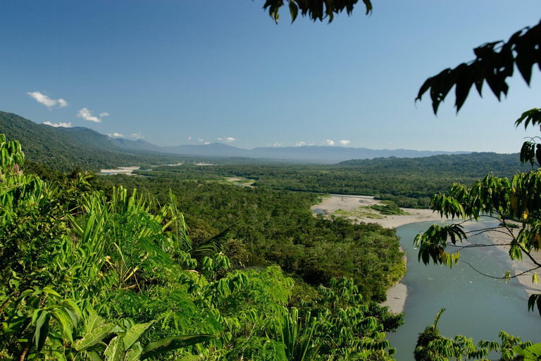Cusco: 4-Day Manu National Park Trip with Lodging