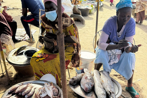 M'bour: Full-day immersion at the fishing harbor and arrival of the canoes