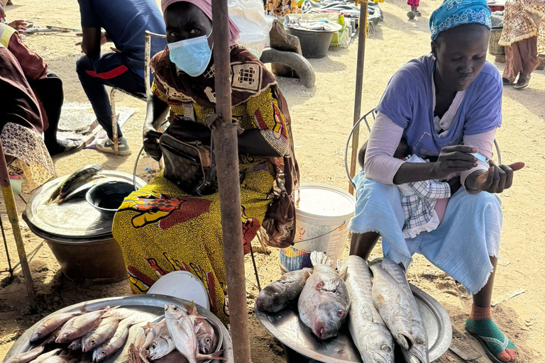 M'bour: Full-day immersion at the fishing harbor and arrival of the canoes