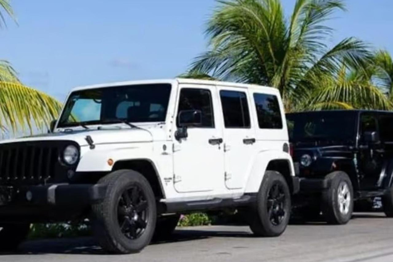 Private Cozumel Tour Your Way - Groups up to 4 People