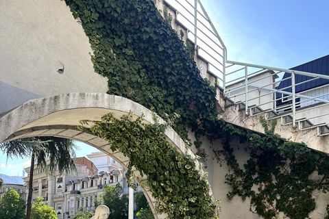 Skopje: Stone Bridge Walking Tour