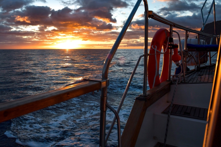 Funchal: dolfijnen en walvissen spotten bij zonsondergang