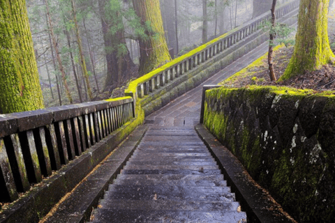 Tokyo: Tour privato di un giorno di Nikko, Patrimonio dell&#039;Umanità dell&#039;Unesco, e prelievo di campioni