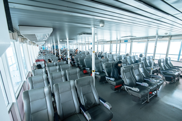 Krabi: Ferry Transfer To or From Koh Samui Krabi Ao nammao (Any Hotel) To Koh Samui