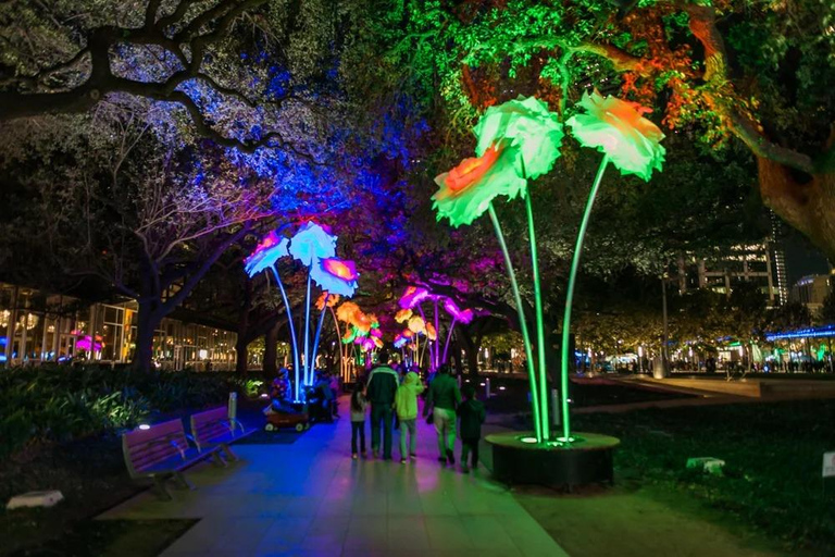 Houston: Night Tour with Rooftop Park Entry
