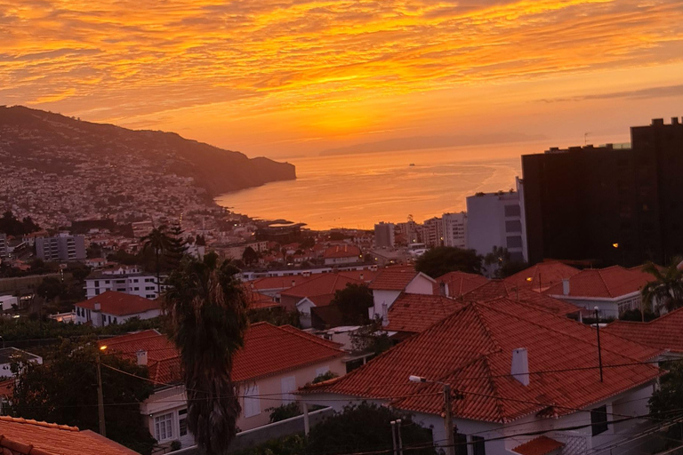 فونشال: جولة عائلية في جزيرة ماديراجولة عائلية في جزيرة ماديرا