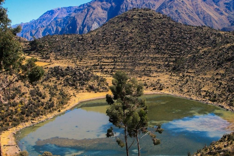 AREQUIPA : JOURNÉE COMPLÈTE CANYON DE COLCA + BAINS THERMAUX