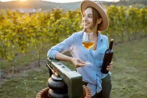 Buenos Aires: Viagem de 1 dia ao Paraíso do Vinho em Mendoza com passagem aérea