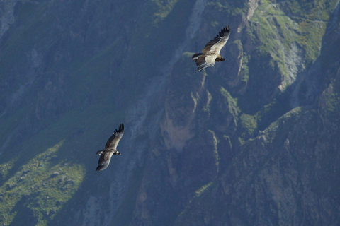 Peru: 21-day round trip to the highlights