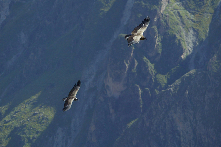 Peru: 21-day round trip to the highlights