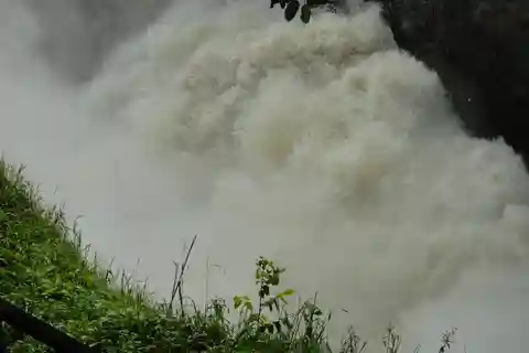 Uganda Big Five safari with gorilla trekking