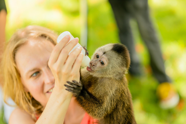 Punta Cana : Visite de la maison des singes