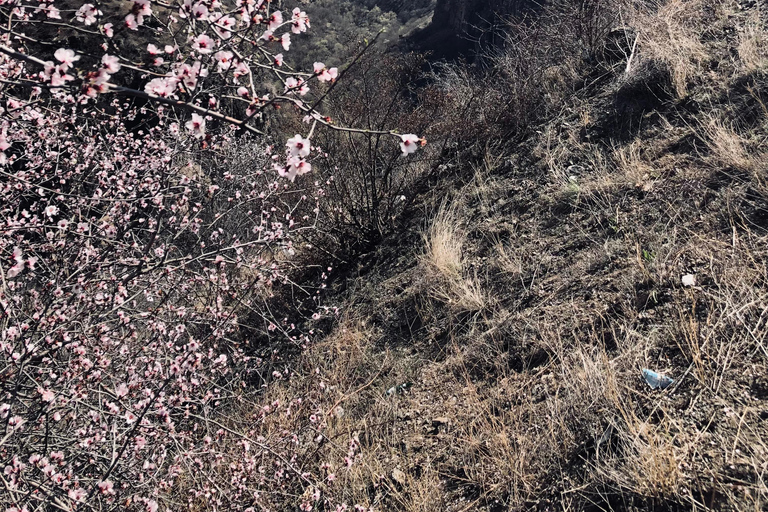 Yerevan: 2-Day Waterfalls and Nature Tour