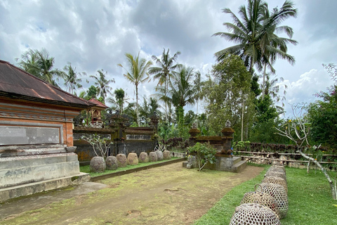 Ubud : PRIVATE Bike Tour inside Rice Field Ubud Countryside Sharing Group