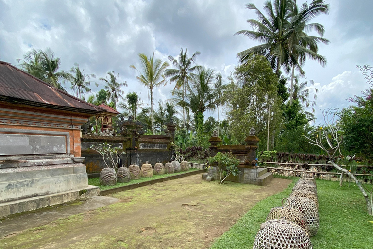Ubud : PRIVATE Bike Tour inside Rice Field Ubud Countryside Sharing Group