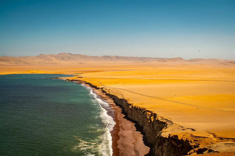 Réserve de Paracas : paysages, faune et histoire