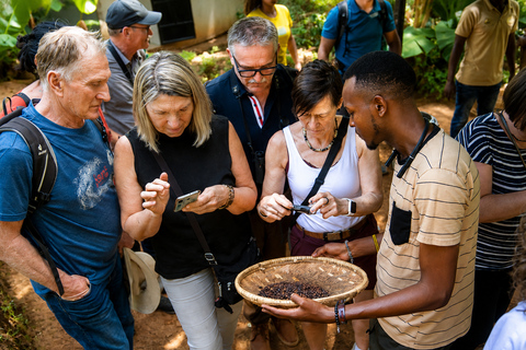 From Moshi: Materuni Waterfalls & Coffee Tour with Lunch