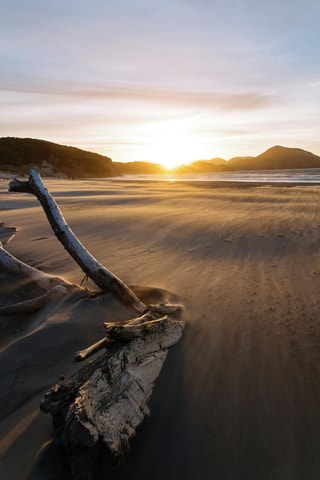 Piha Beach PRIVATE TOUR : Auckland half day trip