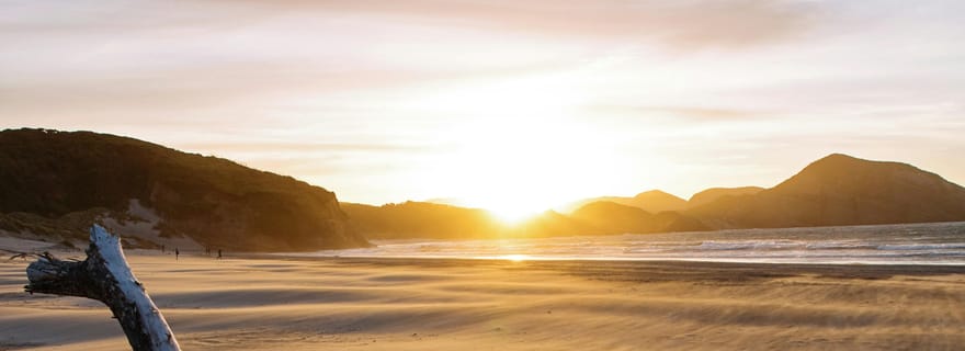 Auckland : visite privative du mont Eden, de la plage de Piha et de Karekare
