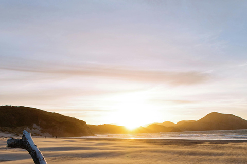 Piha Beach : Auckland halv dagsutflykt