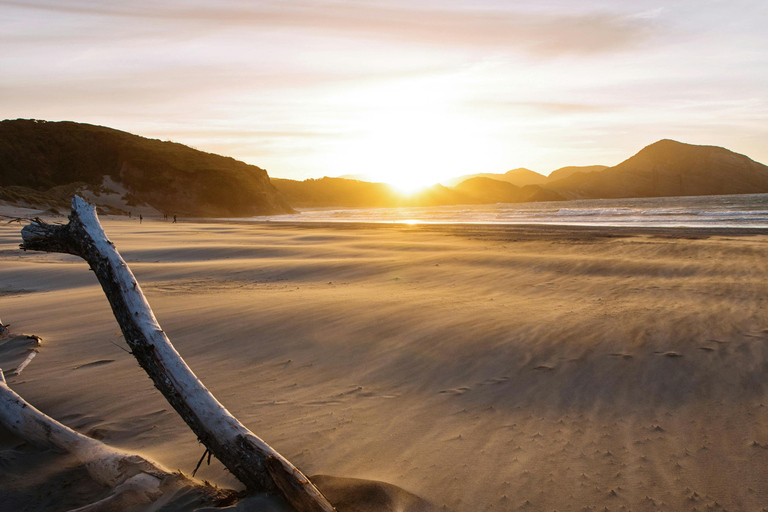 Piha Beach : Auckland half day trip