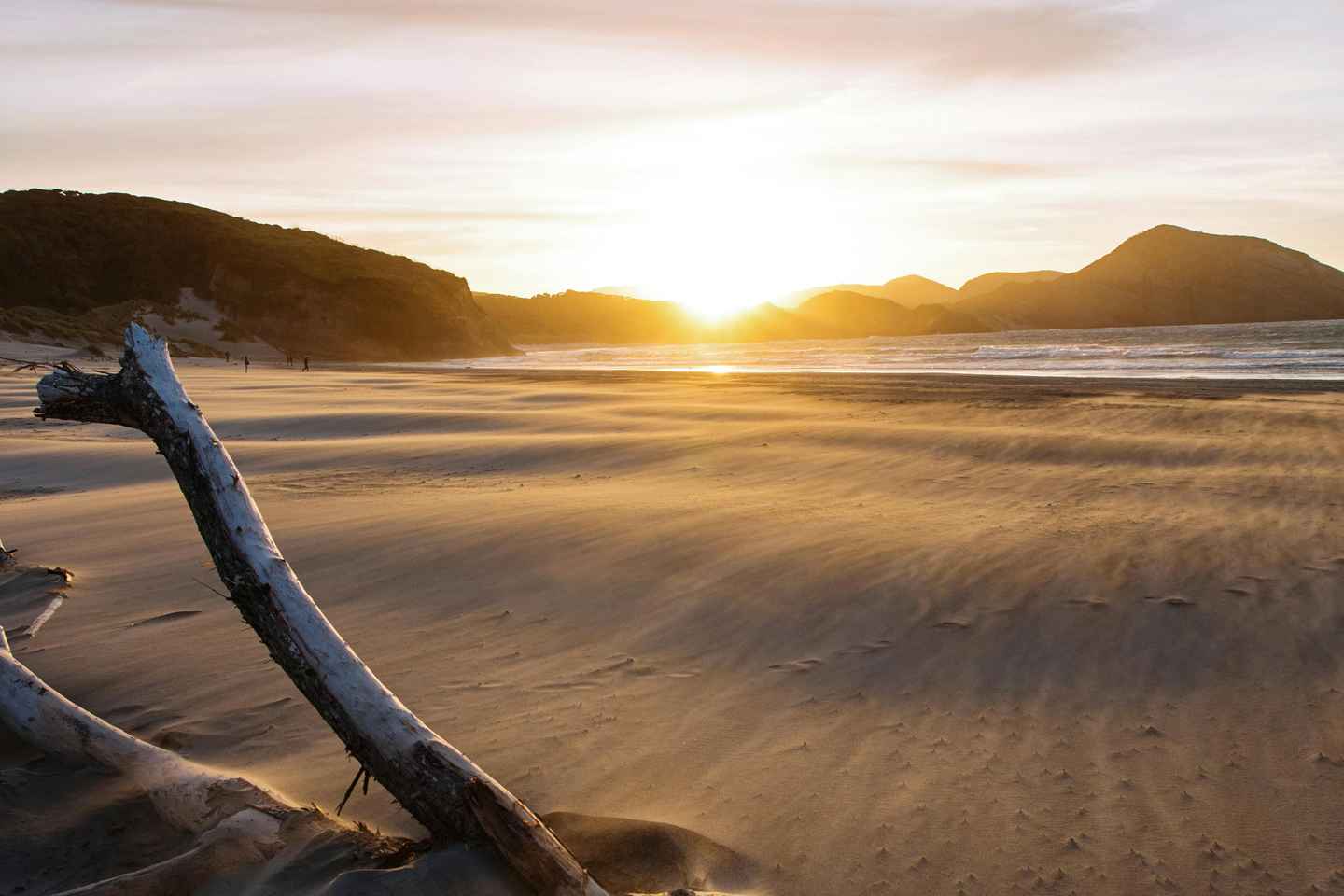 Auckland: Mt. Eden, Piha Beach & Karekare Private Tour - Auckland: Mt. Eden, Piha Beach & Karekare Private Tour