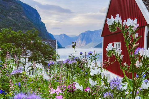 弗洛姆：峡湾农场音乐会
